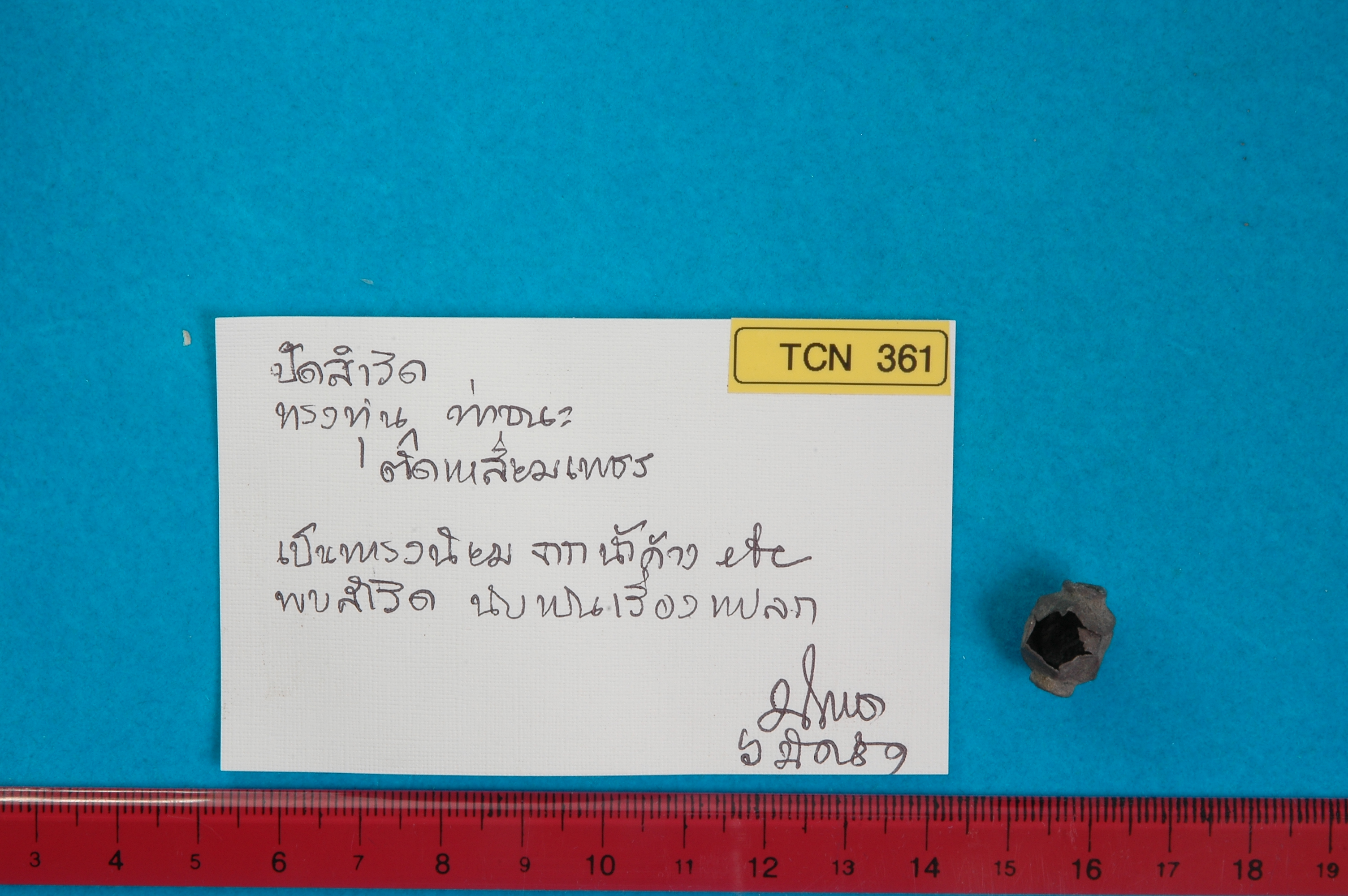 TCN 361.jpg
